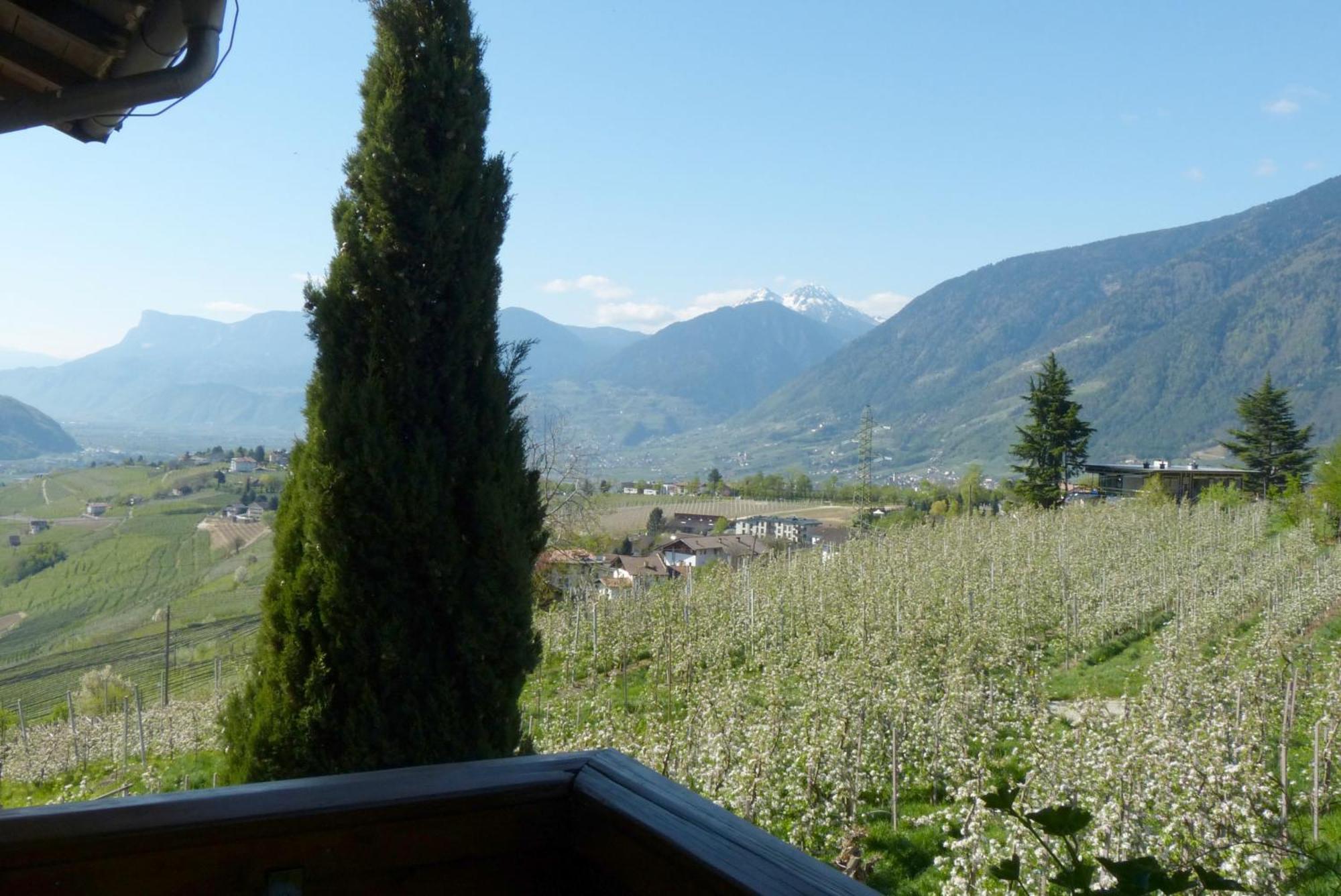 Garni Sonnleiten Tirol Buitenkant foto
